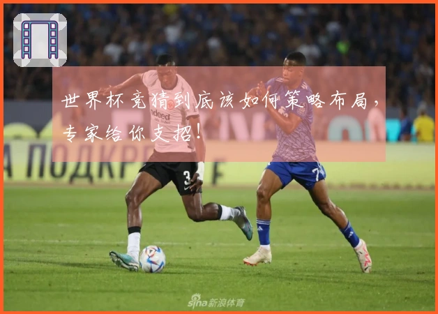 世界杯竞猜到底该如何策略布局，专家给你支招！