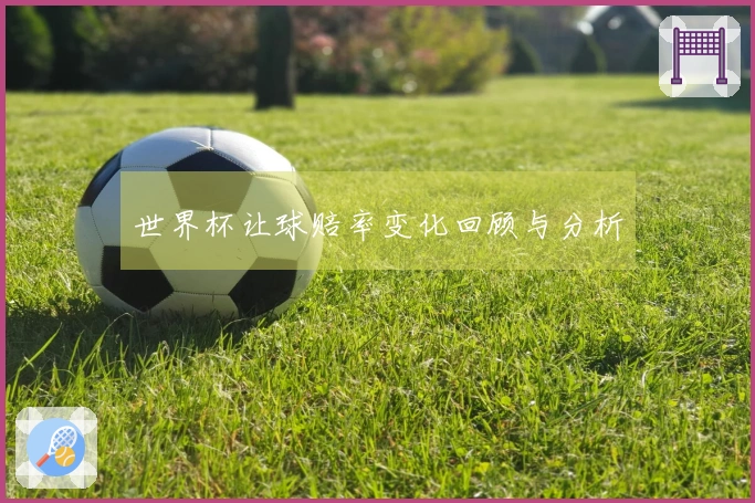 世界杯让球赔率变化回顾与分析