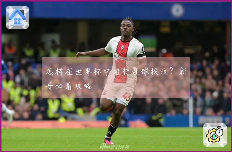 怎样在世界杯中进行让球投注？新手必看攻略
