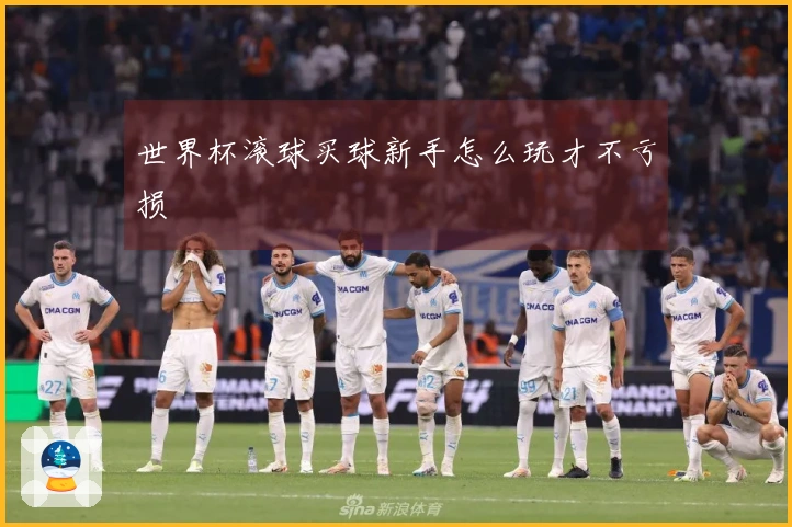 世界杯滚球买球新手怎么玩才不亏损