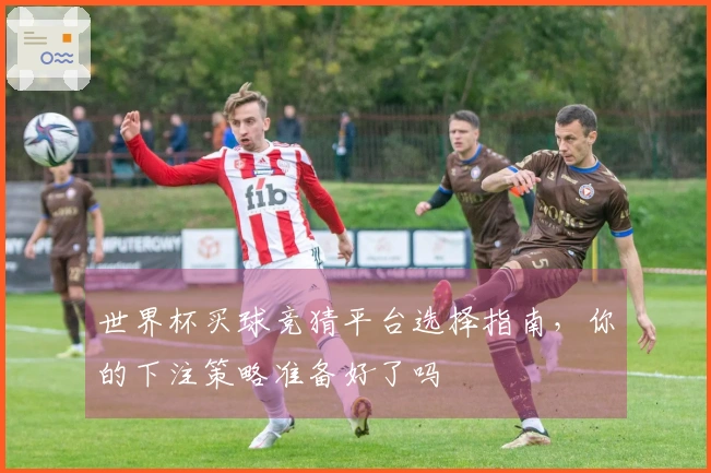 世界杯买球竞猜平台选择指南，你的下注策略准备好了吗