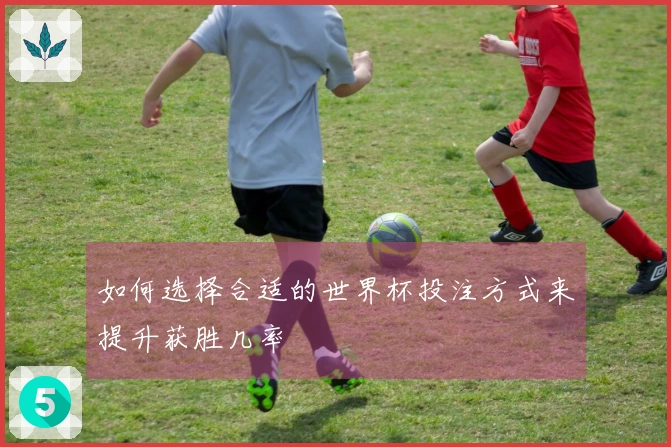 如何选择合适的世界杯投注方式来提升获胜几率